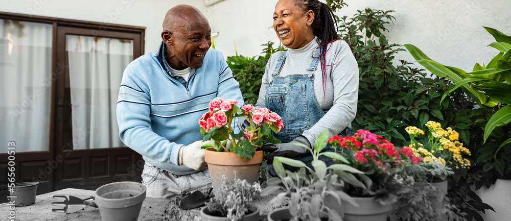 The importance of parent funeral cover